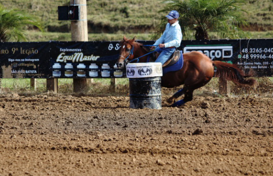 GERRIE STONES QM